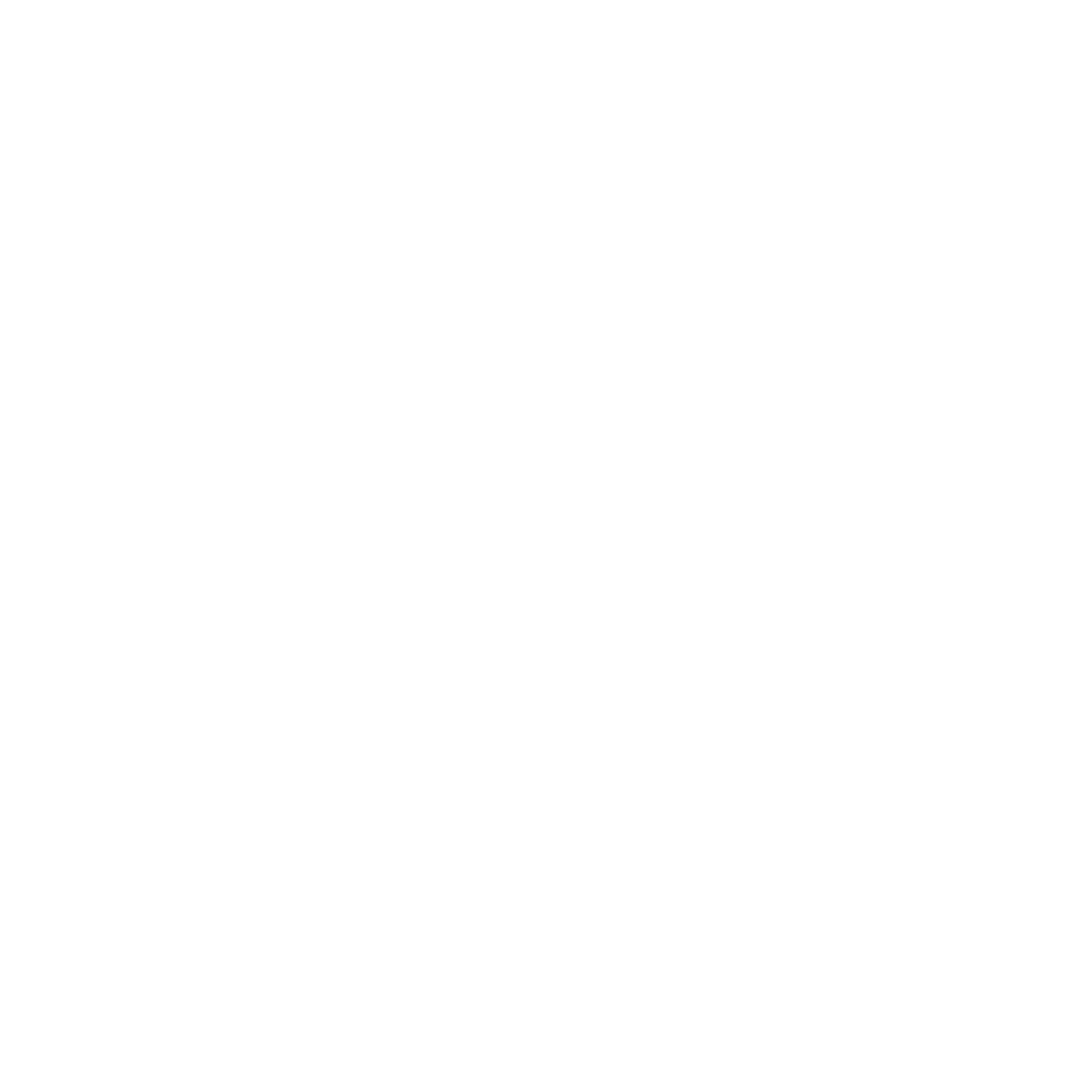 Escudo circular blanco